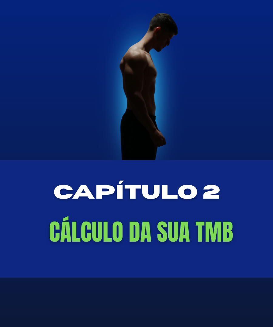 Treino 2